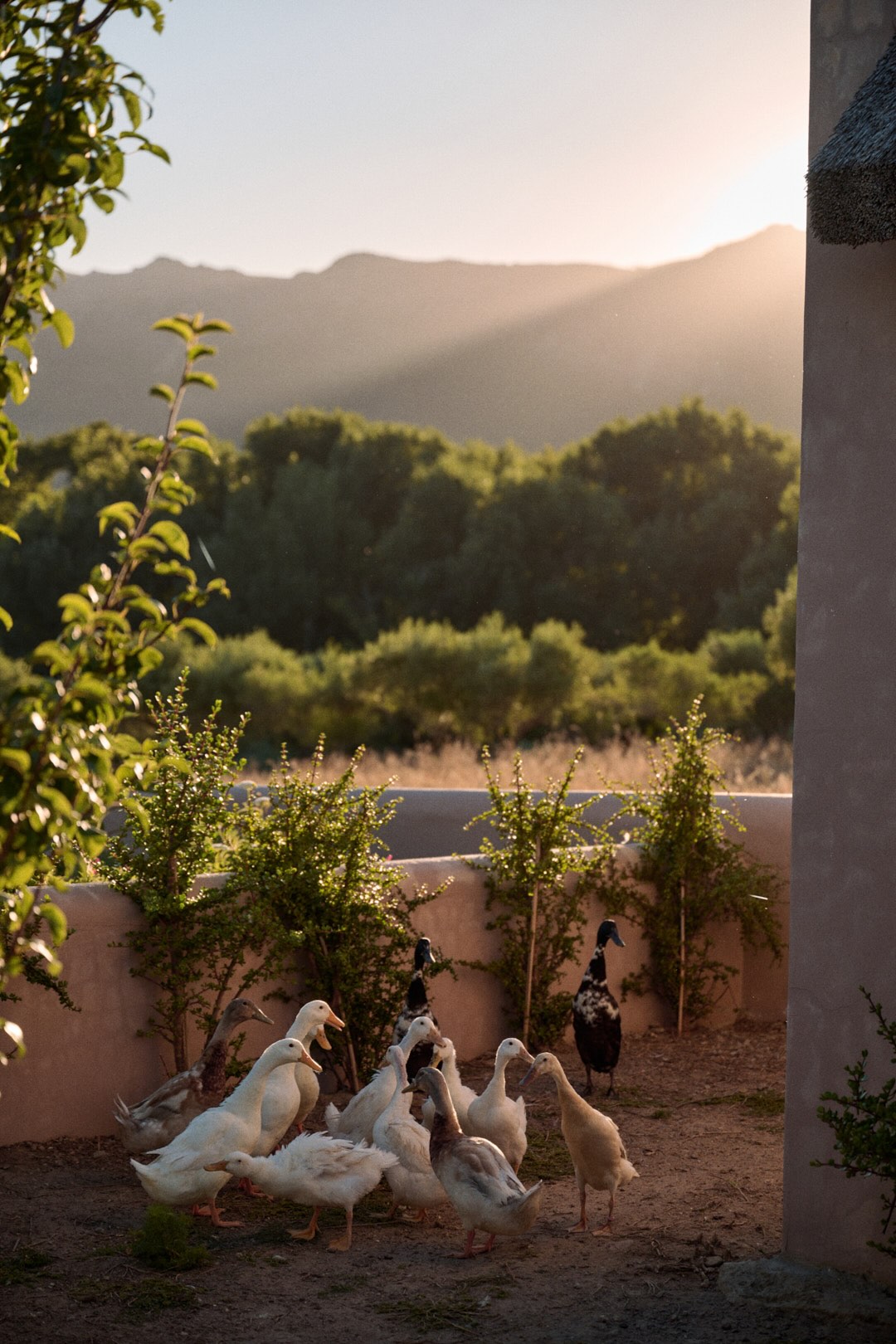 Franschhoek, South Africa destination