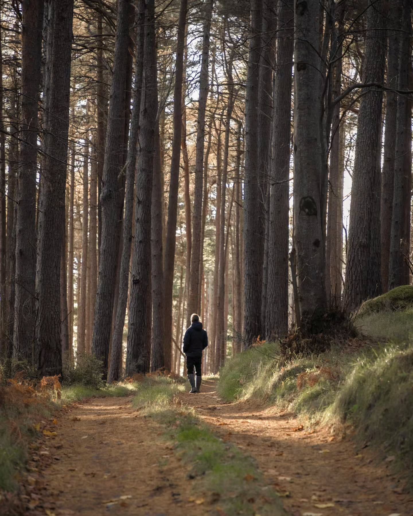 Retreat image