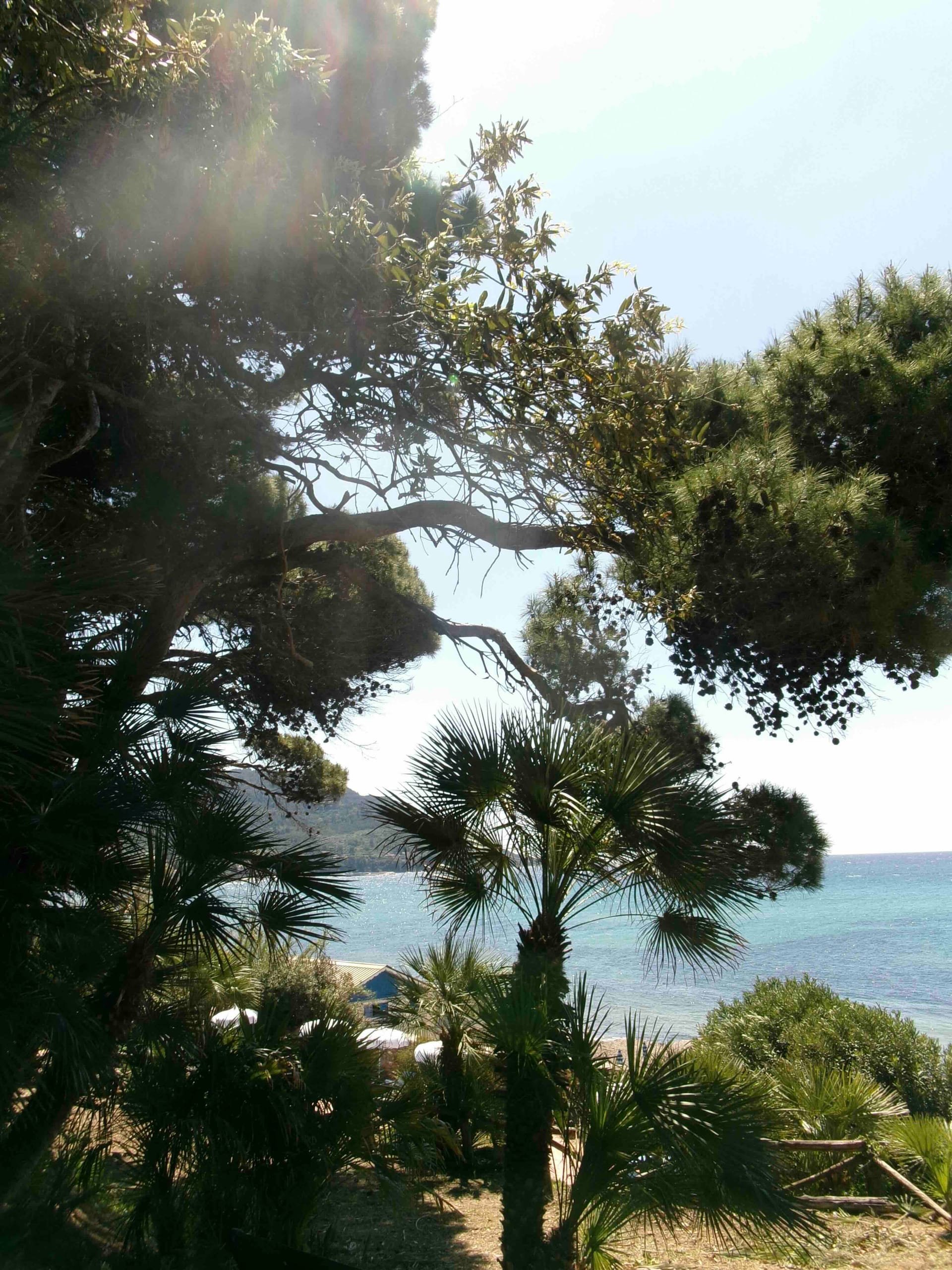 Retreat image