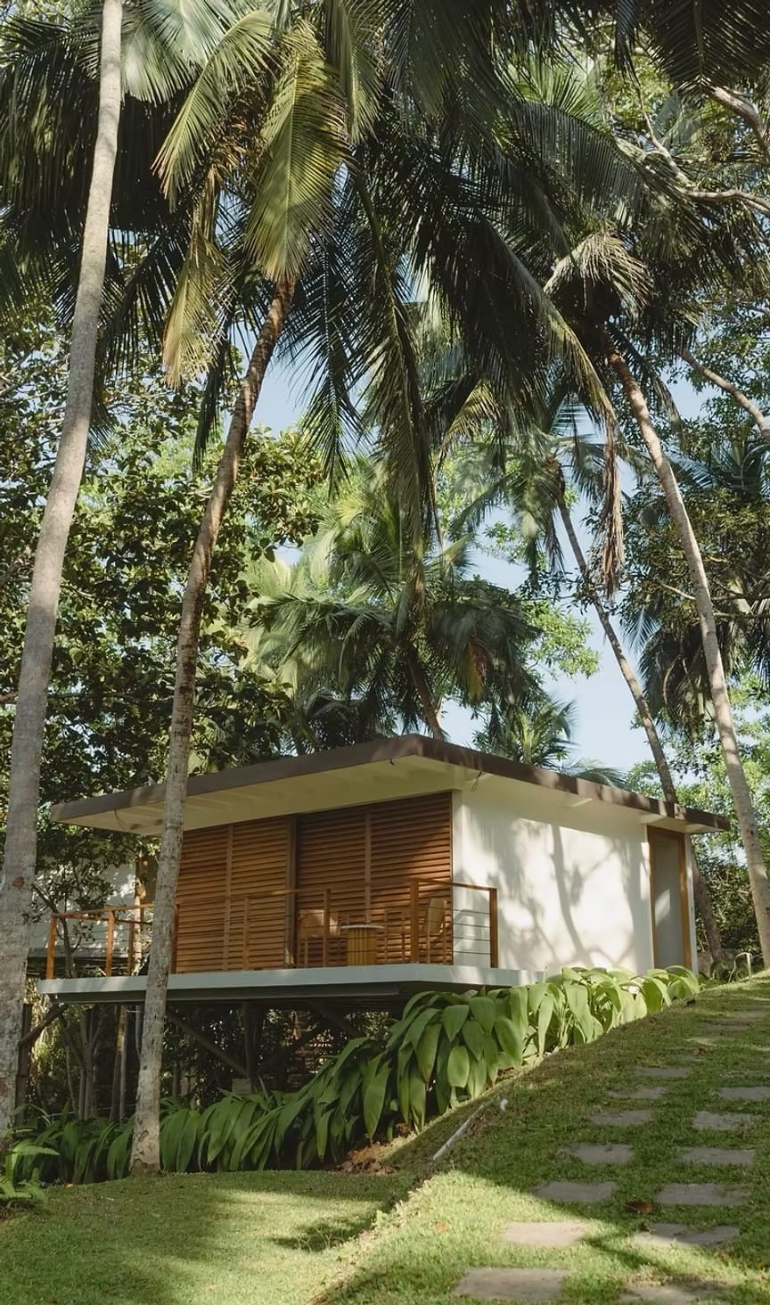 Kurulu Bay Tree House