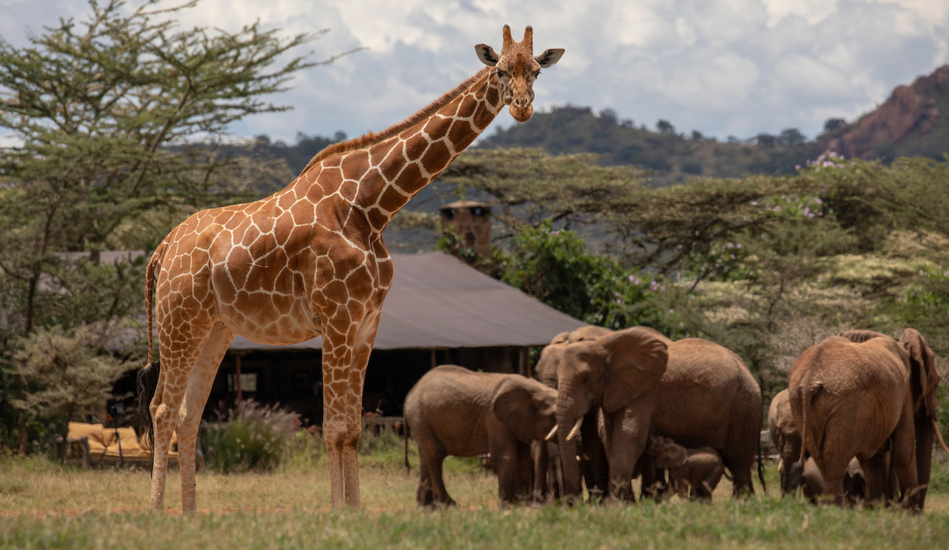 Enasoit, Kenya destination