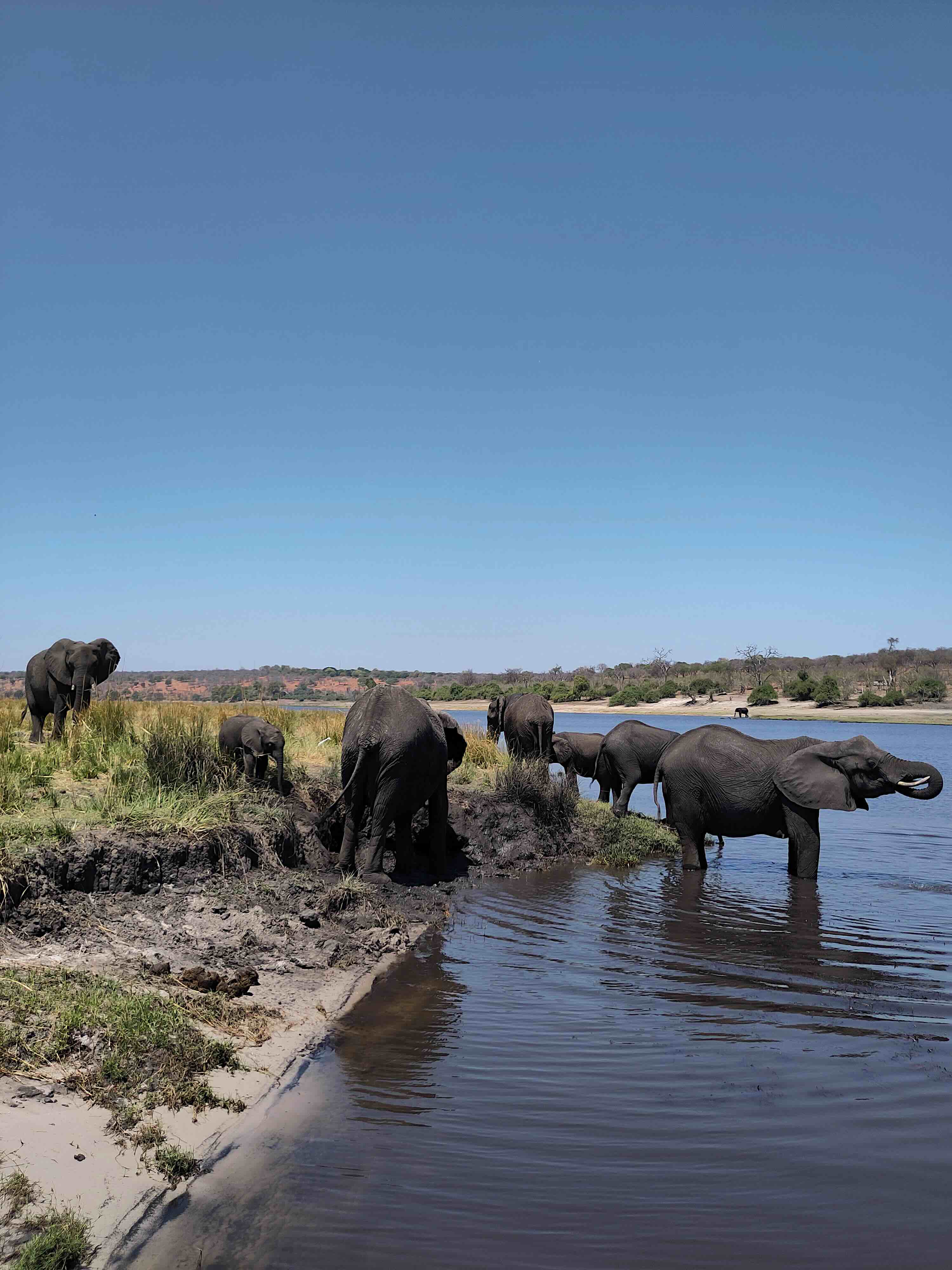 Kavimba, Botswana destination
