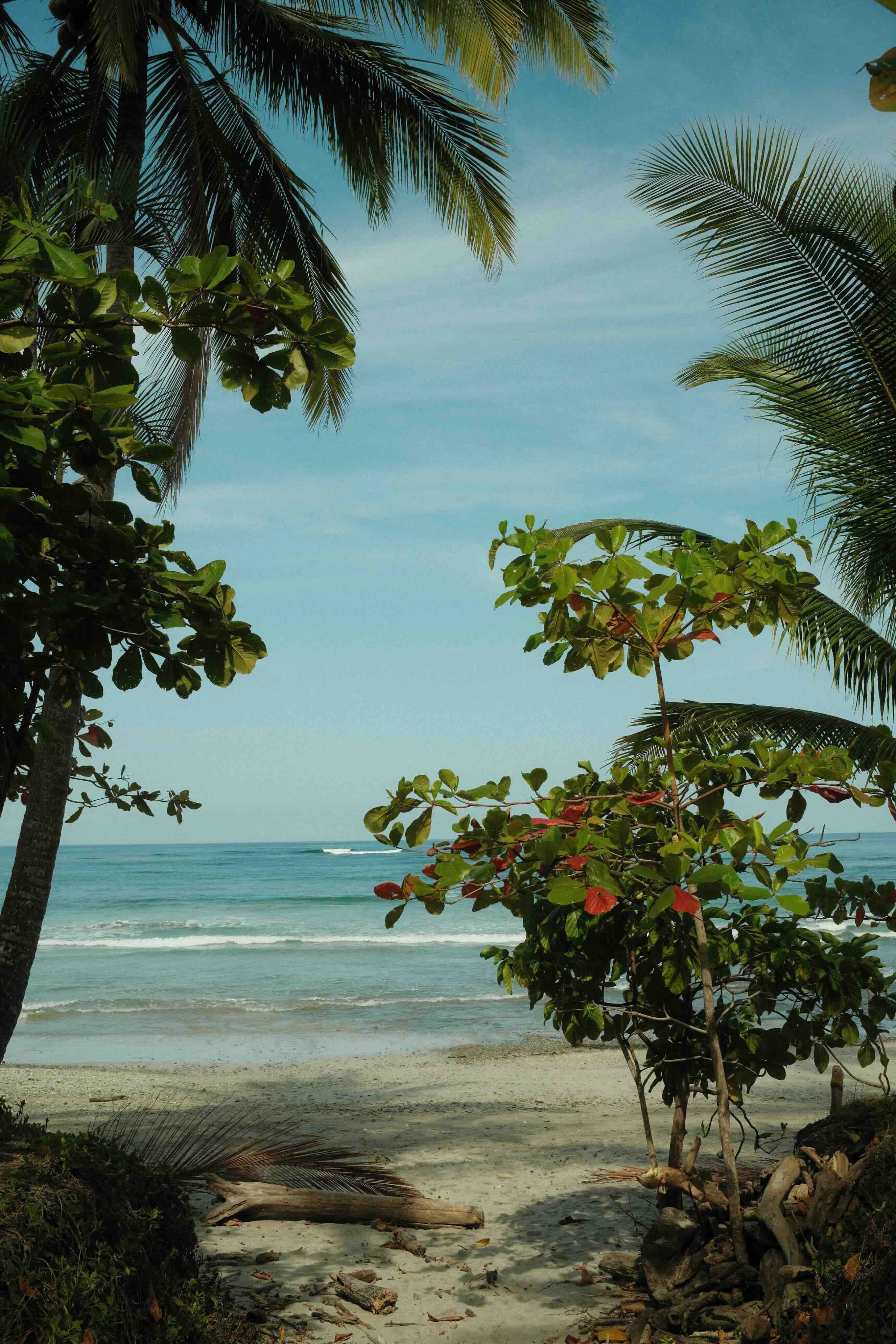 Nosara, Costa Rica destination