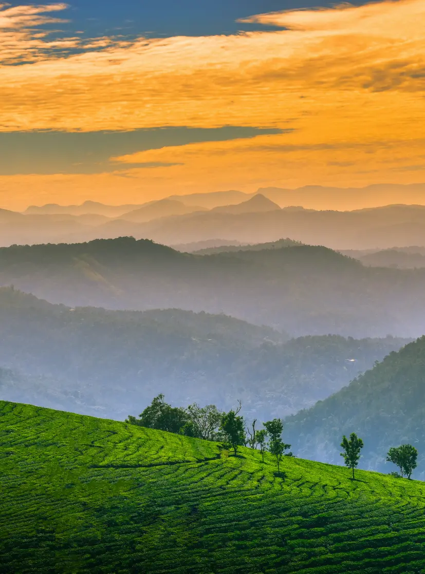 Kerala, India destination