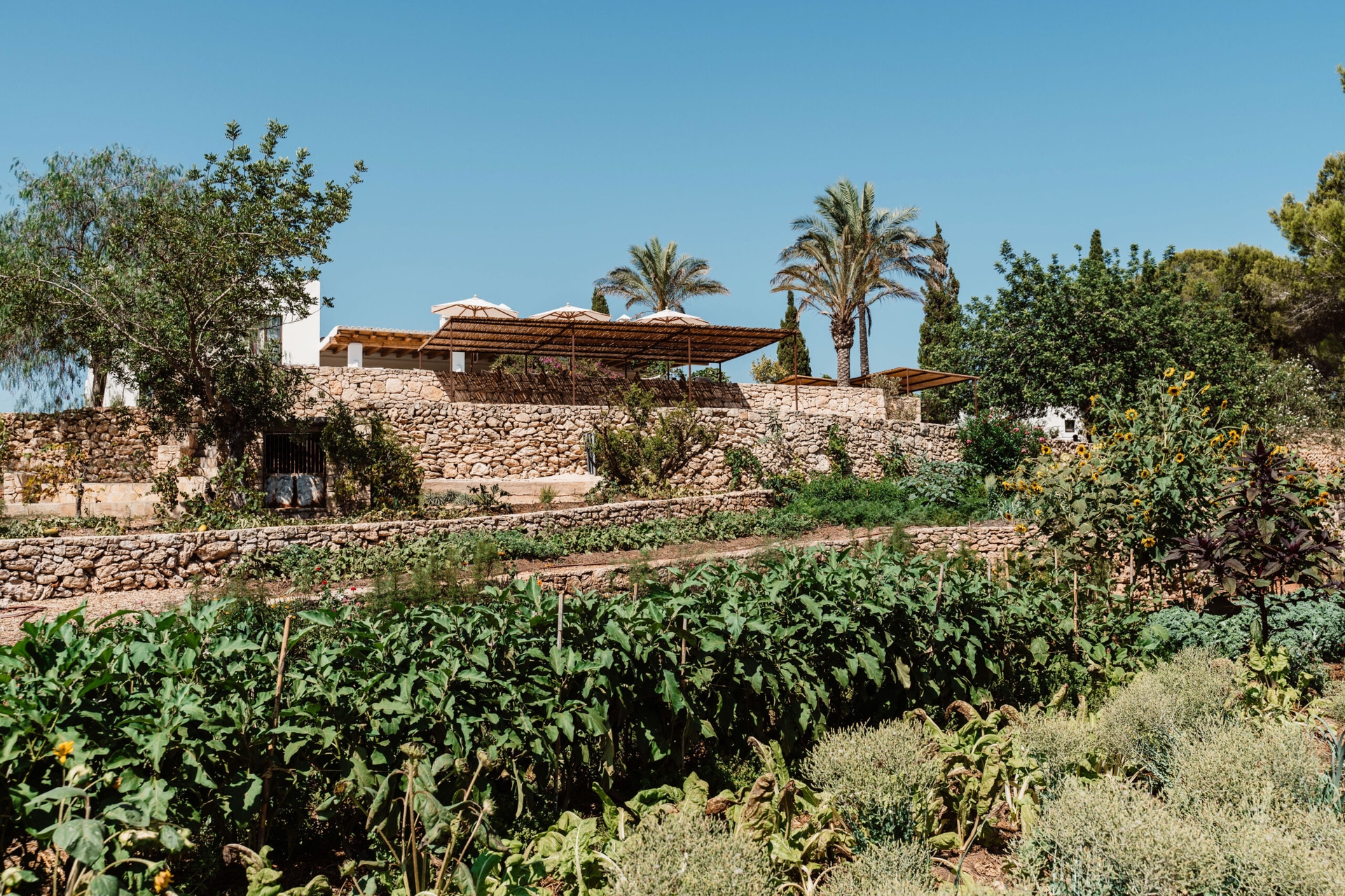 Ibiza, Spain destination