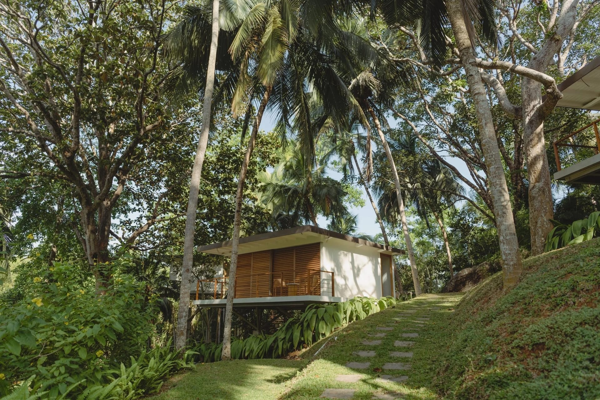 Private Tree House - Image 1